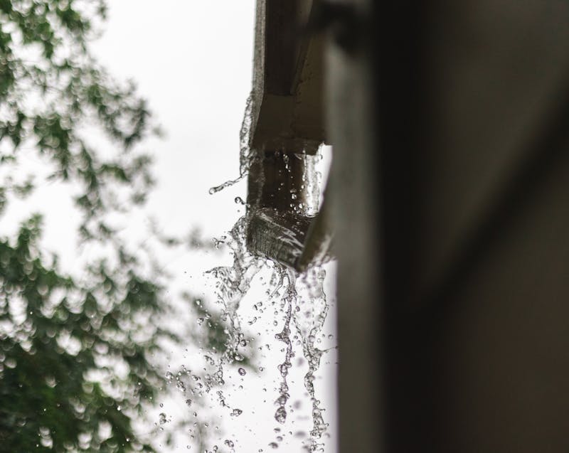 clogged rain gutter