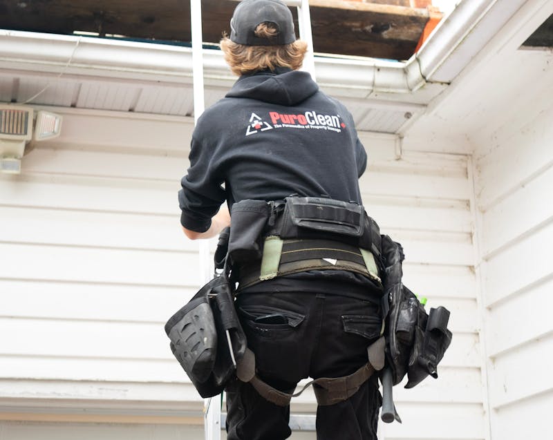 a roofing expert