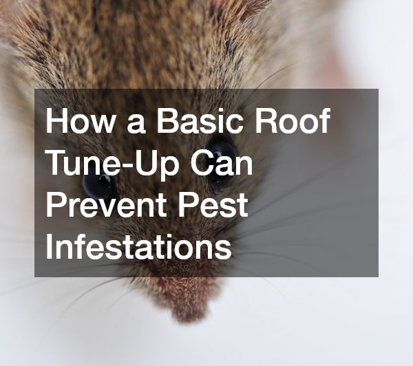 How a Basic Roof Tune-Up Can Prevent Pest Infestations