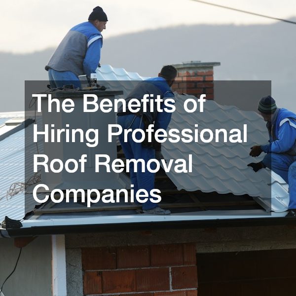 The Benefits of Hiring Professional Roof Removal Companies