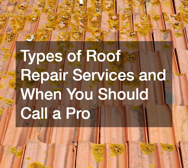 Types of Roof Repair Services and When You Should Call a Pro