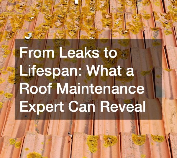 From Leaks to Lifespan: What a Roof Maintenance Expert Can Reveal