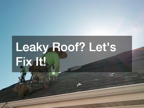 Leaky Roof? Lets Fix It!